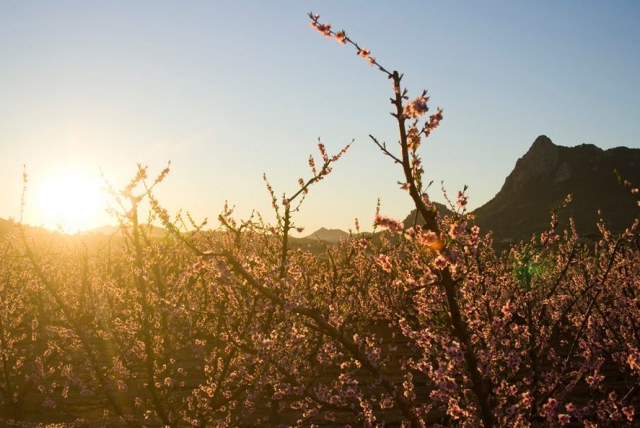  learn about the history of our land 